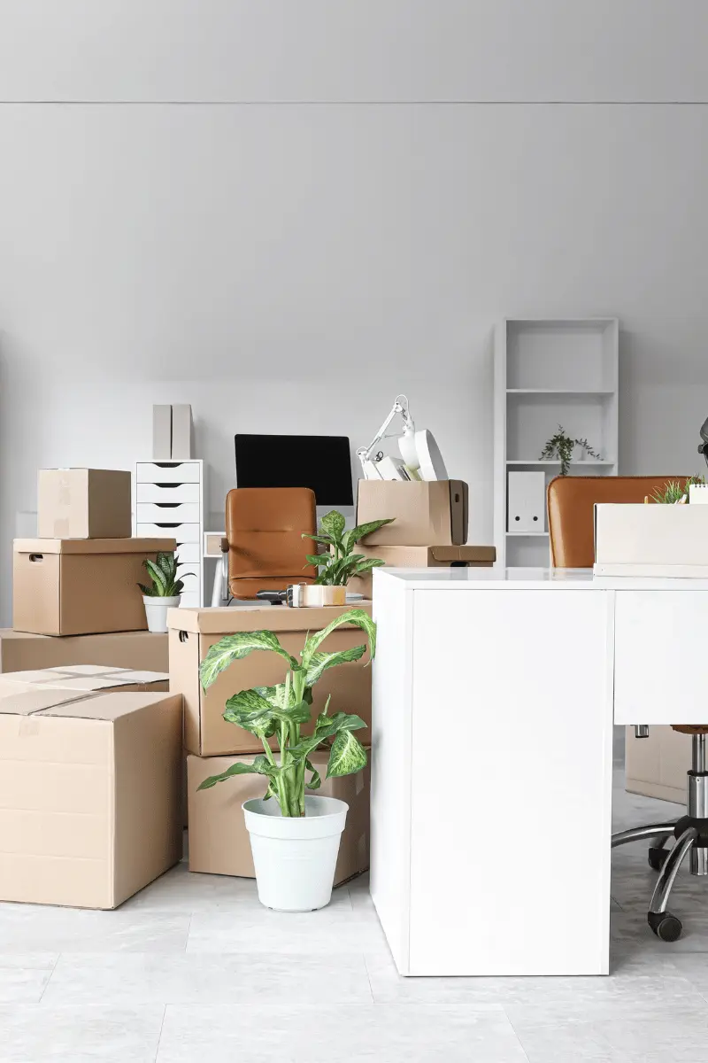 Movers Near Me in Qatar packing furniture and moving boxes