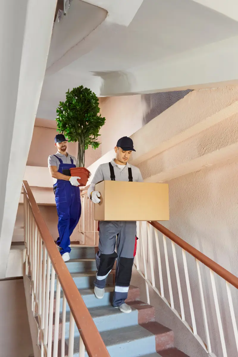 Packing boxes and materials for Relocation Services Qatar